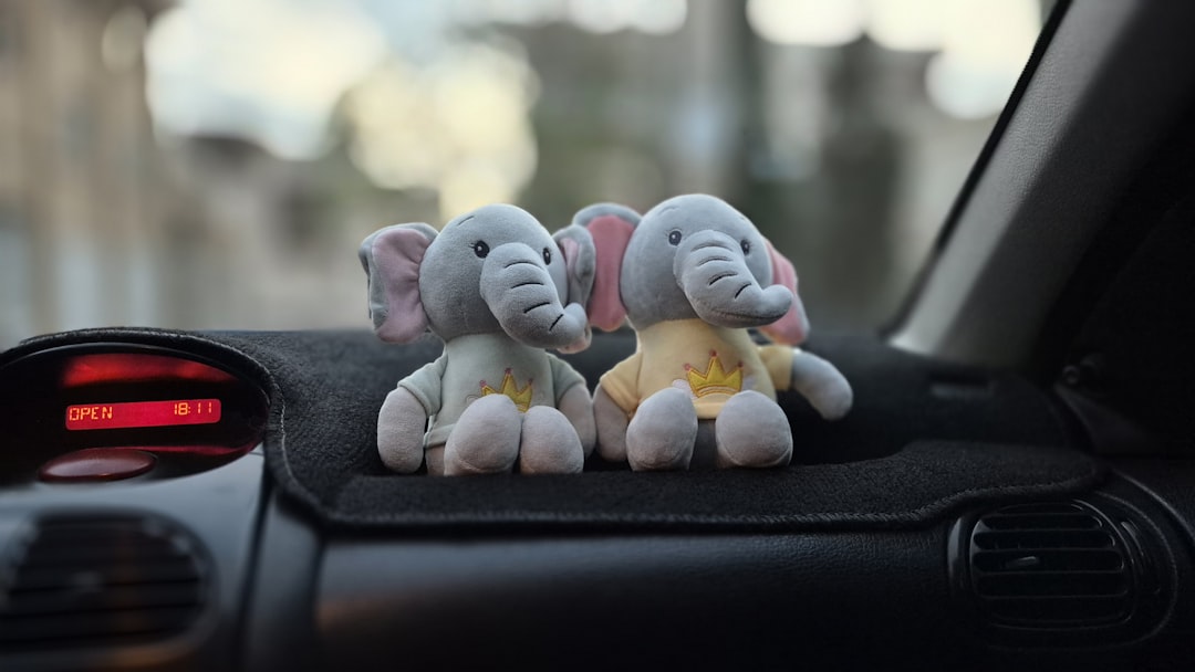 Essential Accessories for Every Car Enthusiast at Premium Drive Gear